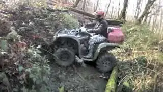 квадрики сочи январь 1 ATV GRIZZLI