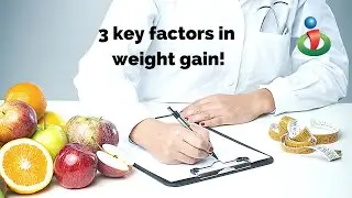 Three major contributors to weight gain