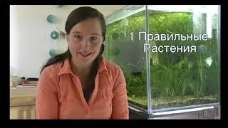 Почему Не Растут Аквариумные - Растения 9 Причин