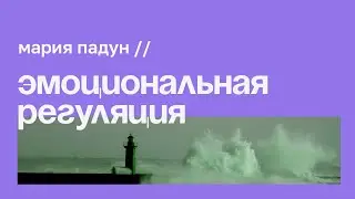 Эмоциональная регуляция // Мария Падун