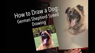 How to Draw a Dog: German Shepherd Speed Drawing