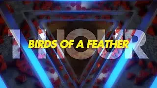 BIRDS OF A FEATHER - 1 HOUR - SPED UP