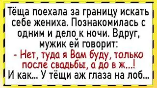 Как тёща за границей мужика искала! Сборник свежих анекдотов! Юмор!