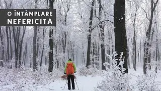 Fotografie de Peisaj Iarna in Padure cu Ceata si Chiciura - Sfaturi si setari