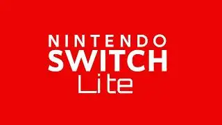 Fan made Switch lite startup