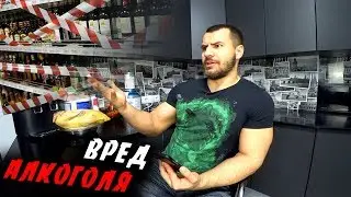 ВРЕД АЛКОГОЛЯ ! И Новый Год !