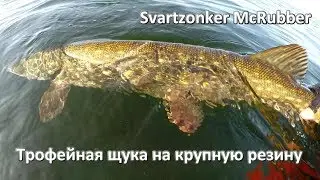 Трофейная щука на крупную резину Svartzonker McRubber