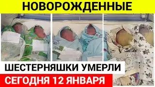 Новорожденные ШЕСТЕРНЯШКИ умерли на второй день