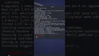 How to install Subfinder in Kali Linux 