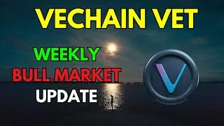 My VECHAIN VET Bull Market Update & Price Prediction 2024/2025