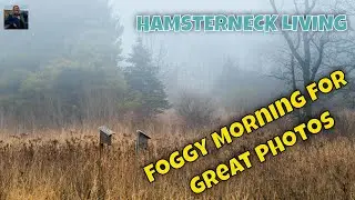 ENCHANTING FOGGY MORNING - The KEY to Great Photos is Going Back Again and Again!