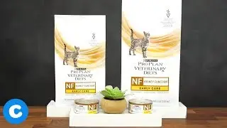 Purina Pro Plan Veterinary Diets NF Feline