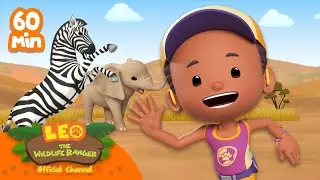 1 HOUR of LEO and FRIENDS!! 🦓🔥 | Leo the Wildlife Ranger | Cartoons for Kids | 