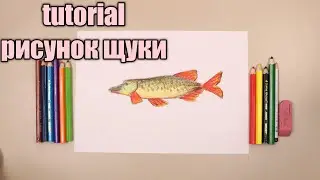 Как нарисовать щуку🦈Урок рисования 🖌️