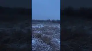 Русские гончие