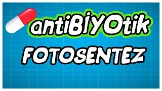 antiBİYOtik / AYT Fotosentez / AYT Biyoloji / AYT Biyoloji
