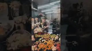 Розовый вечер B.T.R