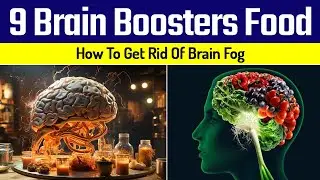 9 Brain Boosters Food For Cognitive Clarity | How To Get Rid Of Brain Fog | @Drberg| Nutro Plus