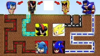 НЕ ВЫБЕРИ ПРАВИЛЬНЫЙ ЛАБИРИНТ СОНИК МУТАНТ EXE СЕКРЕТНАЯ БАЗА ШЕДОУ SONIC МОД ТРОЛЛИНГ МАЙНКРАФТ