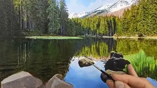 Lake Reflections Oil Painting | Time Lapse | Episode 175