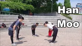 Hanmoodo Master vs Rapier Beginner