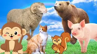 Familiar animal sounds - Cat, Monkey, Pig, Squirrel, Sheep,...