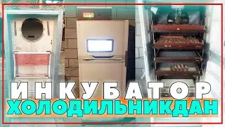 ХОЛОДИЛЬНИКДАН ИНКУБАТОР ЯСАШ || @ALPHA Aziko