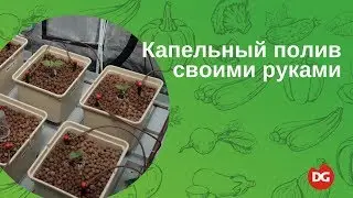 №8 Как собрать капельный полив своими руками