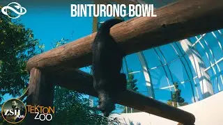 Binturong Bowl ¦ Tekton Zoo ¦ Planet Zoo franchise mode ¦ Ep. 6