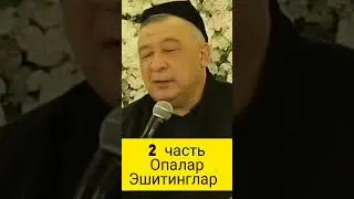 Хотинлар учун