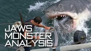 Jaws (1975) - All Sightings