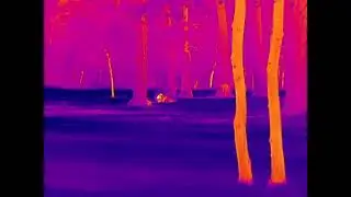 ZIESS DTI 3/35 Thermal Modes & Thieving Bear