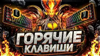 Как сделать свою игру на ПК еще более УДОБНОЙ I Raid: Shadow Legends