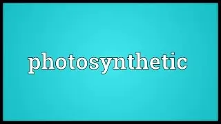 Photosynthetic Meaning