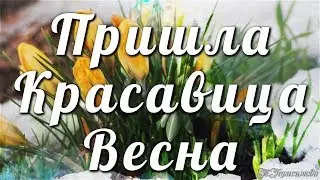 Пришла красавица весна🌸💦