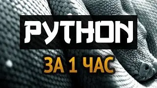 Учим Python за 1 час! #От Профессионала