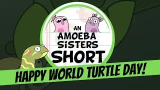 Happy World Turtle Day 🐢  - Amoeba Sisters 