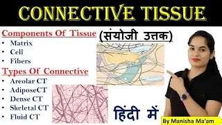 Connective tissue | Connective tissue in hindi | Components of tissue | types of connective tissue