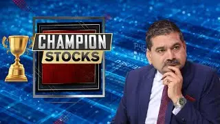 Champion Stocks: Top Stock Picks for National Sports Day: Champion Shares for Every Market!