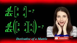 Derivative of a Matrix