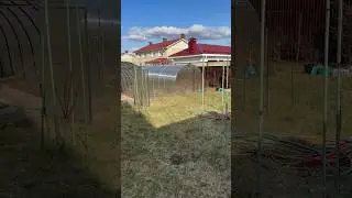 Припохали сына - наконец то 17 лет и можем ни чего не делать