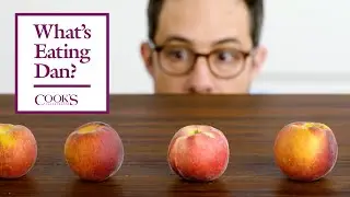 Why Peaches are My Favorite Fruit | Whats Eating Dan?