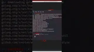 How to install Webanalyze in Kali Linux