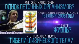 Что такое жизнь, циркуляция потоков между уровнями - телами сущности, физическое тело (Левашов Н.В.)