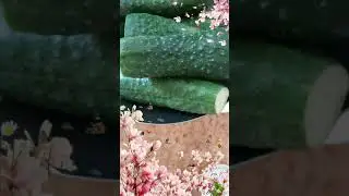 #полезныесалаты