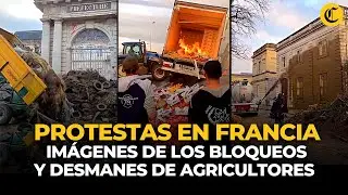 INCREÍBLES PROTESTAS EN FRANCIA: agricultores tiran ESTIERCOL A EDIFICIOS MUNICIPALES | El Comercio