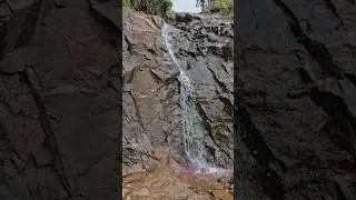 Waterfall Near Cauliflower Shola Ooty | 