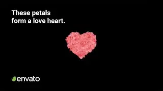 This After Effects plugin turns rose petals into a love heart