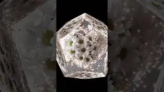 Красивые Валентинки на 14 Февраля - Моя Валентинка Онлайн ❤️ 