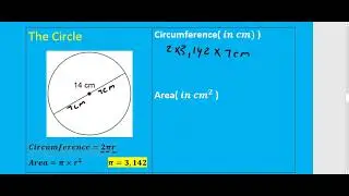 Grade 10-12 Mathematical literacy(P2):The Circle